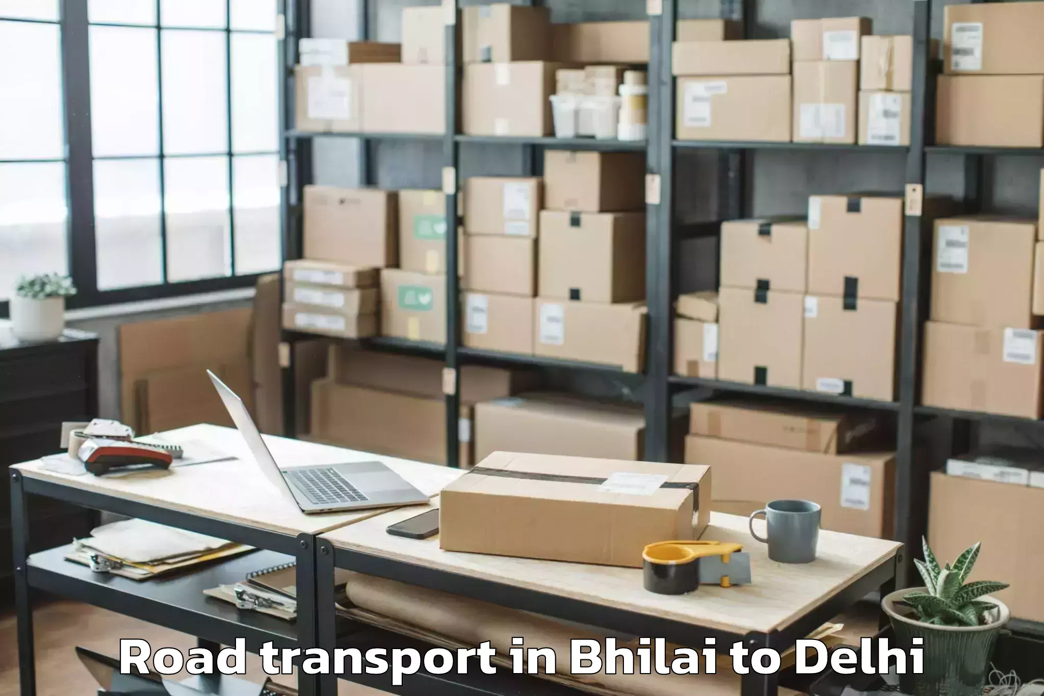 Professional Bhilai to Parsvnath Mall Akshardham Road Transport